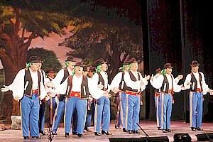 De Verde Luna
